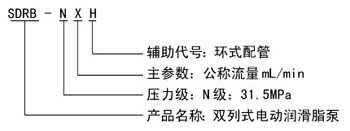 SDRB-N双列式电动润滑脂泵(图2)