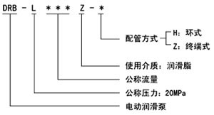 DRB-L系列电动润滑泵(图3)