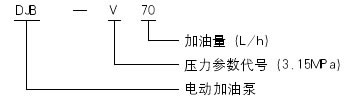 DJB-V70型电动加油泵(图2)