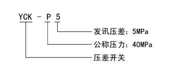 YCK-P5型压差开关(图2)